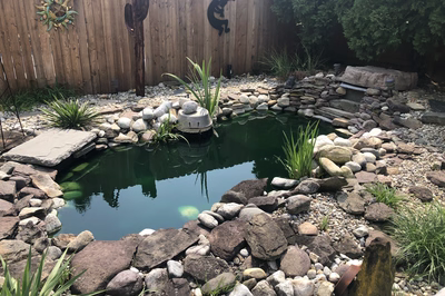 Basin E - Wenonah, NJ - A backyard pond surrounded by rocks and plants, with a wooden fence in the background