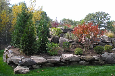 Beecher G - Wall, NJ - A rock retaining wall with shrubs and trees in the background