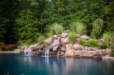 Belden E - Williamstown, NJ - A natural swimming pool with a waterfall surrounded by lush greenery