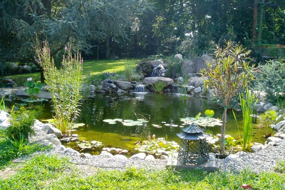 Benson A - Villanova, PA - A tranquil garden with a pond surrounded by lush greenery and water features