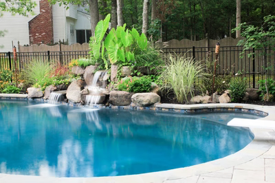 Bowman E - Medford, NJ - A swimming pool surrounded by lush greenery and a waterfall.