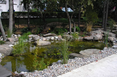 Coeur B - Voorhees, NJ - A small pond surrounded by rocks and greenery in a backyard.