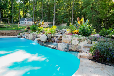 Daintree C - Spring City, NJ - A beautiful backyard with a swimming pool surrounded by lush greenery and colorful flowers