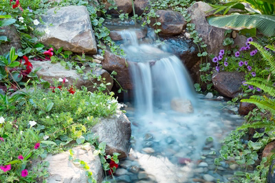 Daintree H - Spring City, NJ - A small waterfall surrounded by lush greenery and colorful flowers