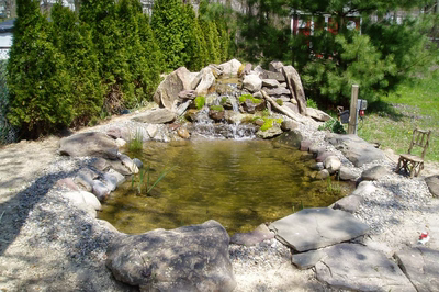 Dillon-A - A backyard with a pond, waterfall, and bench surrounded by trees