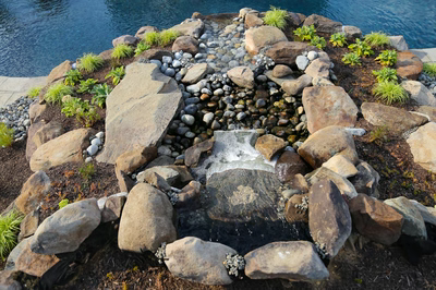 Drake C - Titusville, NJ - A rock garden with a small waterfall in the middle of it