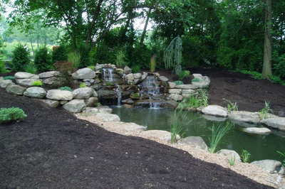 Elliot-A - A bird's eye view of a backyard with a swimming pool and a waterfall