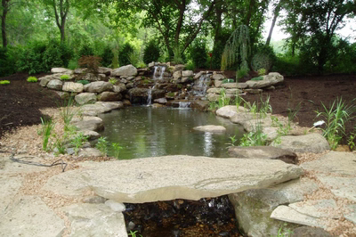 Elliot-B - A bird's eye view of a backyard with a swimming pool and a waterfall