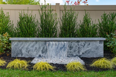 Formal G -  - A rectangular concrete water feature surrounded by lush green shrubs and grasses