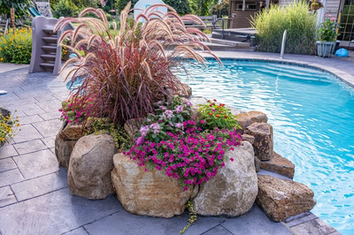 Franconia F - Malvern, PA - A swimming pool surrounded by rocks and flowers, with a play area in the background