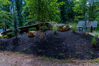 Gavarnie M - Monkton, MD - A hillside with rocks and trees in a wooded area.