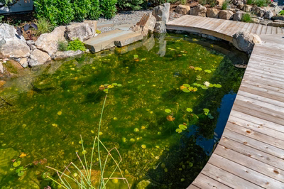 Havasu I - Manasquan, NJ - A wooden bridge over a small pond filled with green algae and lily pads