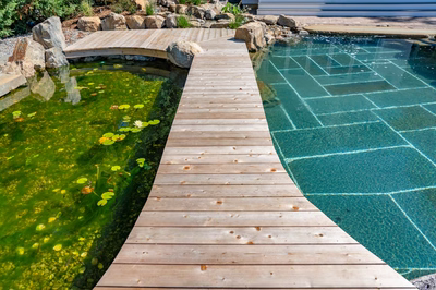 Havasu L - Manasquan, NJ - A wooden walkway over a small pond filled with green algae and rocks