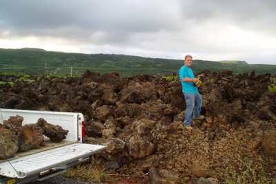 Hawaii5024E - A large rock waterfall in the middle of a swimming pool surrounded by lush greenery