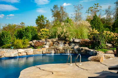 Morris W - New Hope, PA - A swimming pool surrounded by lush greenery and a waterfall.