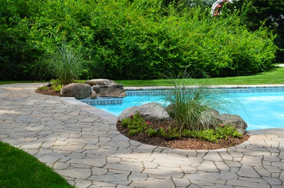 Morgan E - Saddle River, NJ - A swimming pool surrounded by lush greenery and rocks, with a stone pathway leading to it