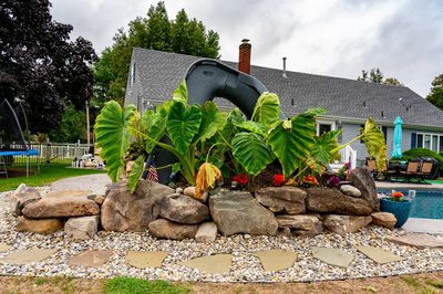 Otodome F - Tinton Falls, NJ - A rock garden in front of a house with a pool in the background