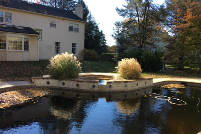 Owen A - Bryn Mawr, PA - A pond surrounded by trees and shrubs in front of a house.