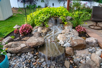 Paulina A - Williamstown, NJ - A small waterfall surrounded by rocks and flowers in a backyard setting