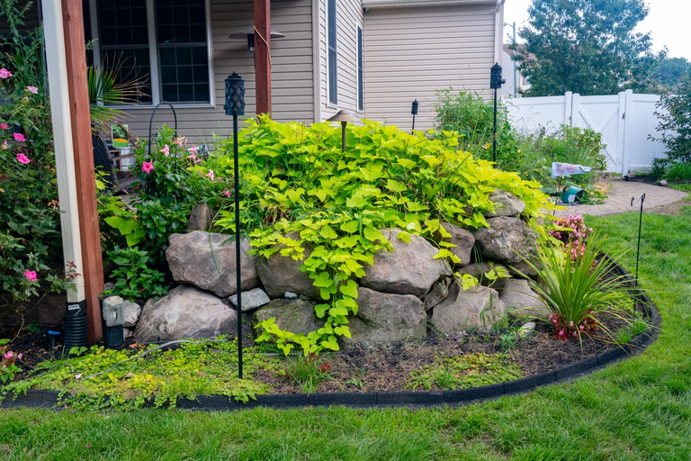 Cascading natural stone boulder waterfall surrounded by lush garden plants and vibrant vines