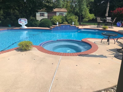 Ryuzu A - Collegeville, PA - A swimming pool with a basketball hoop in the middle of it surrounded by landscaping