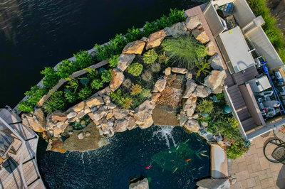 Shebelle - Hammonton, NJ - A bird's eye view of a small pond with a waterfall surrounded by plants and rocks