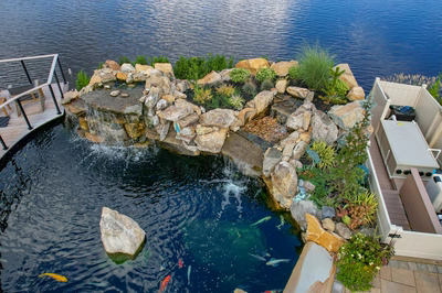 Shebelle - Hammonton, NJ - A bird's eye view of a koi pond with a waterfall and rock features