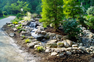 Swiftwater A - Pennsylvania - A stream running through a lush green forest filled with rocks and plants