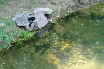Swiftwater G - Pennsylvania - A small pond with rocks and water in it.