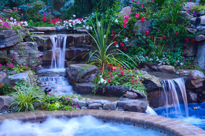 Tama K - Manalapan, NJ - A swimming pool with a waterfall surrounded by lush greenery and colorful flowers