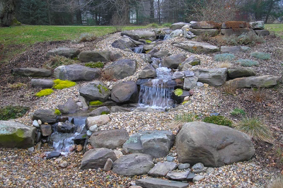 Toadtown-A - A swimming pool with a waterfall in the middle surrounded by lush greenery