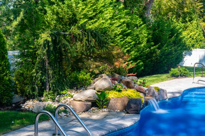 Tumalo F - Freehold, NJ - A swimming pool surrounded by lush greenery and rocks, with a waterfall feature