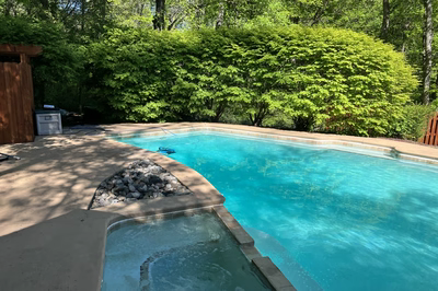 Vernal A - Media, PA - A swimming pool surrounded by lush green trees and a wooden fence.