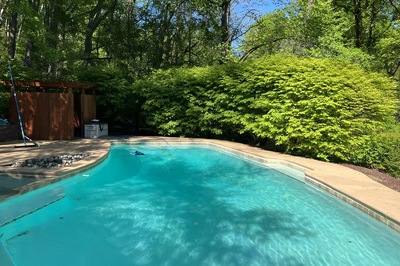 Vernal C - Media, PA - A clear blue swimming pool surrounded by lush green trees and shrubs