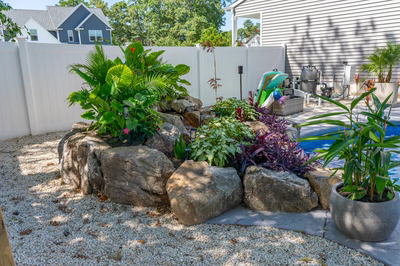Willamette E - Barnegat, NJ - A backyard garden with rocks and plants near a swimming pool.