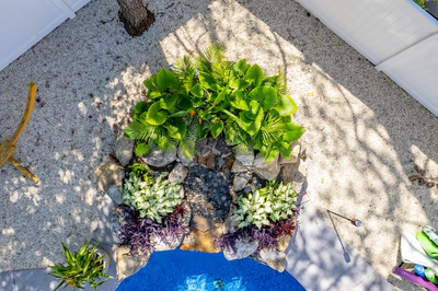 Willamette H - Barnegat, NJ - A bird's eye view of a small garden with a blue pool surrounded by plants and rocks