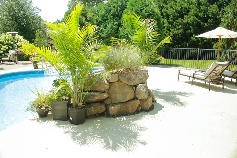 A pool area with a stone retaining wall next to a swimming pool surrounded by lush greenery and potted plants