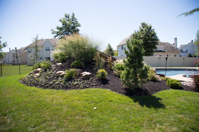 A landscaped hillside with rocks and plants near a swimming pool in a suburban neighborhood