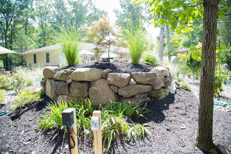A stone retaining wall surrounded by plants and trees in a garden