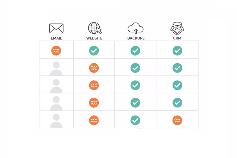 Access review grid showing accounts checked against business systems.