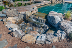 Day Z - Manasquan, NJ - A wooden bridge over a small waterfall surrounded by rocks and plants near a swimming pool